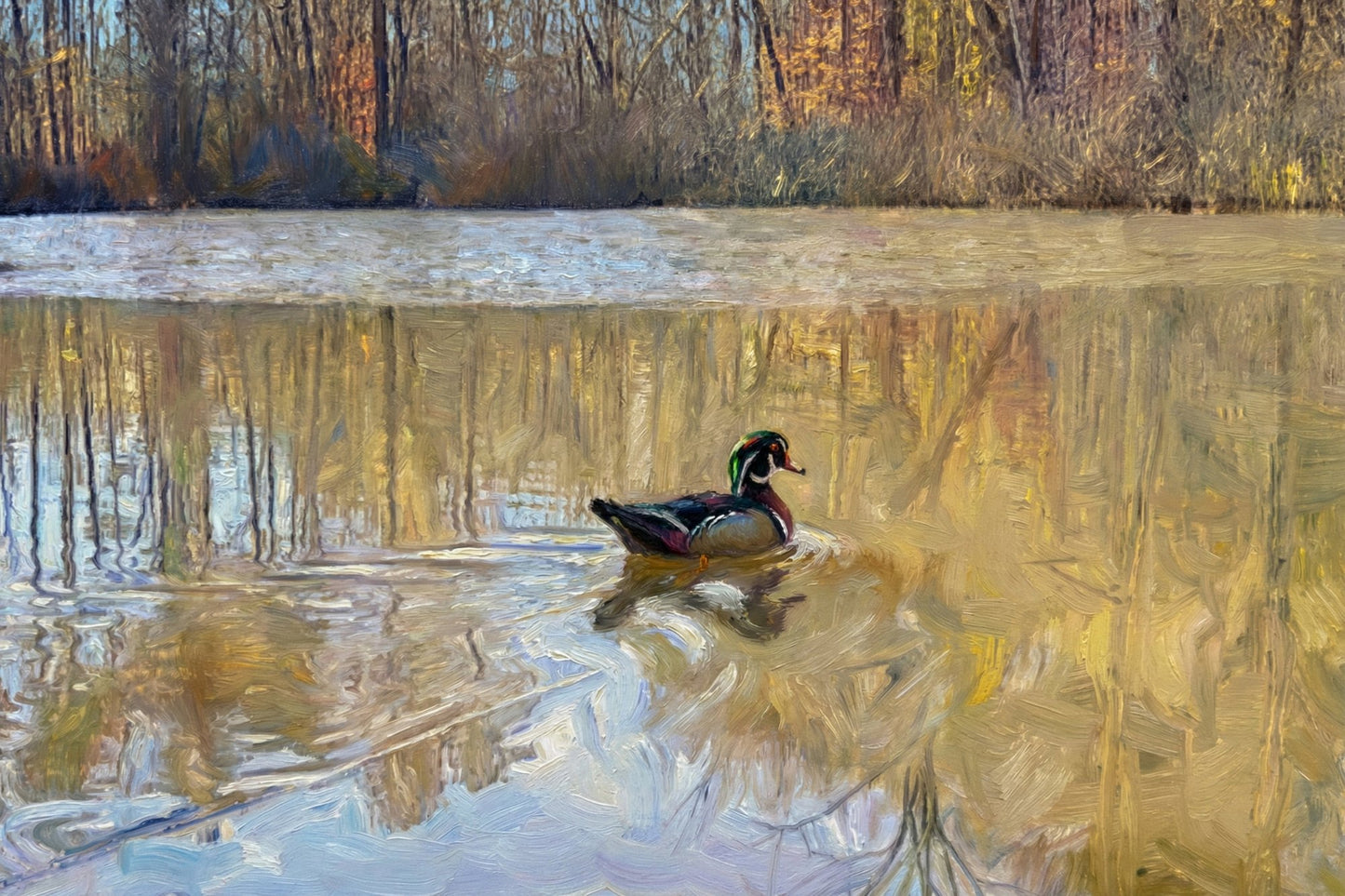 Stillwater Reflection