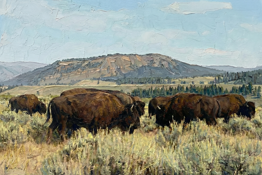 Buffalo