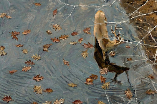 Leaves On Thin Water
