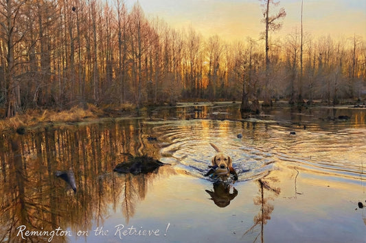 Remington On The Retrieve