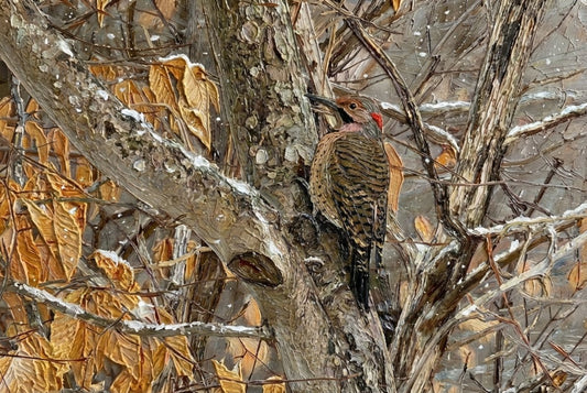 Winter Flicker