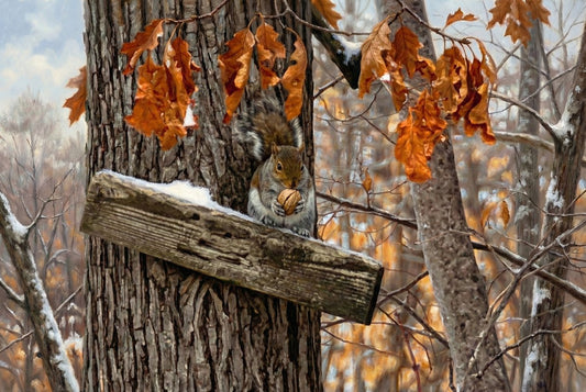 Winter Squirrel