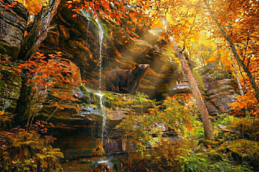 Cathedral Of Falling Leaves