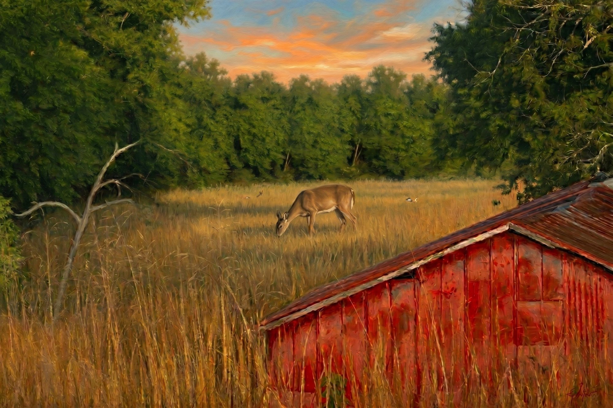 Red Barn Field Morning